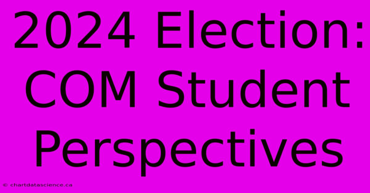 2024 Election: COM Student Perspectives