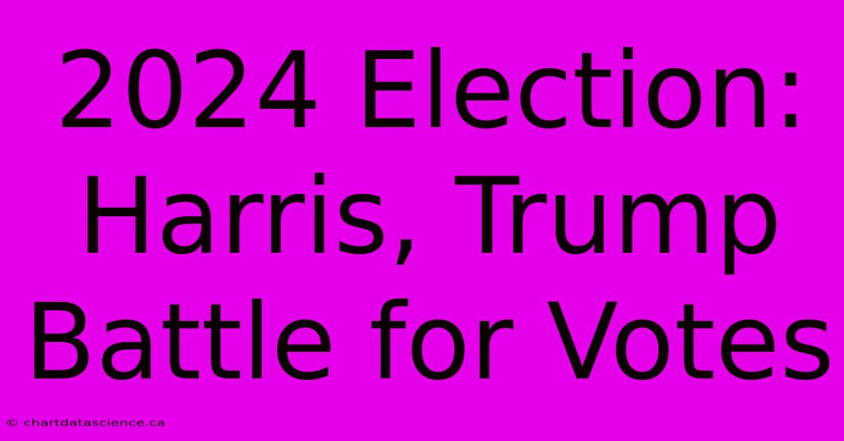 2024 Election: Harris, Trump Battle For Votes