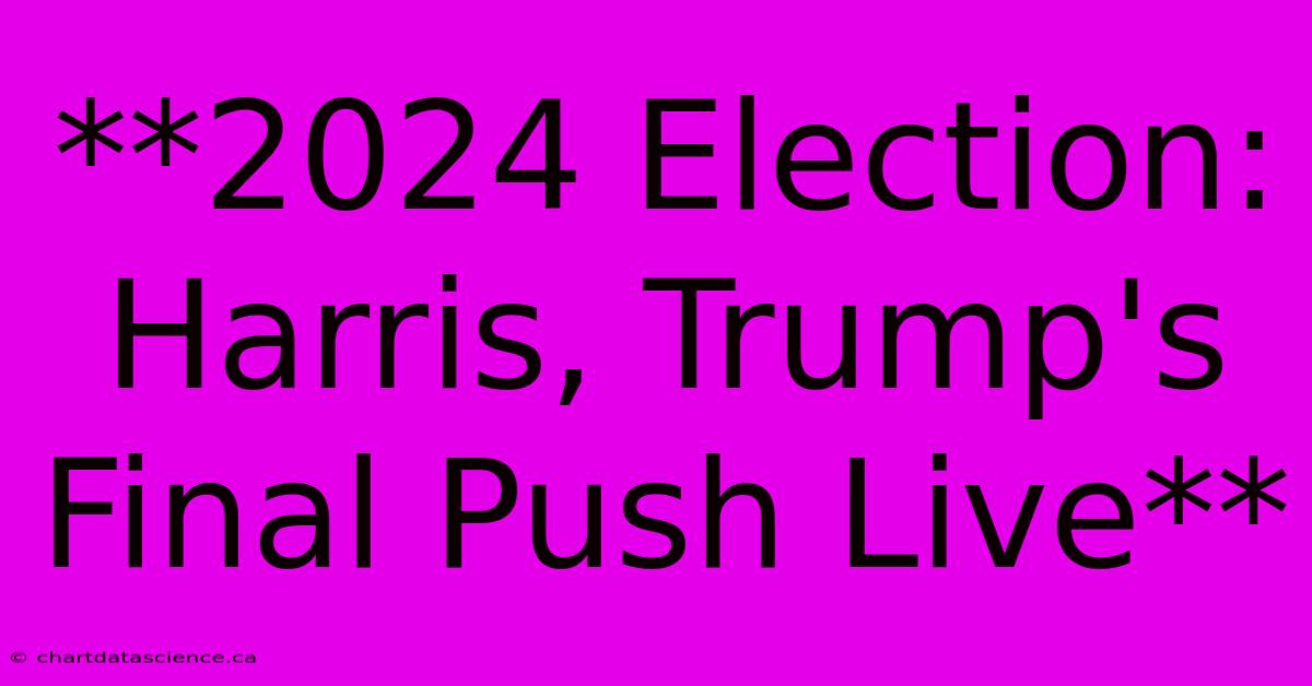 **2024 Election: Harris, Trump's Final Push Live** 