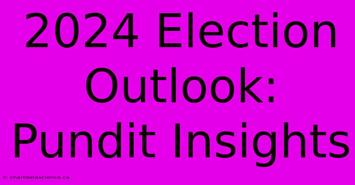 2024 Election Outlook: Pundit Insights