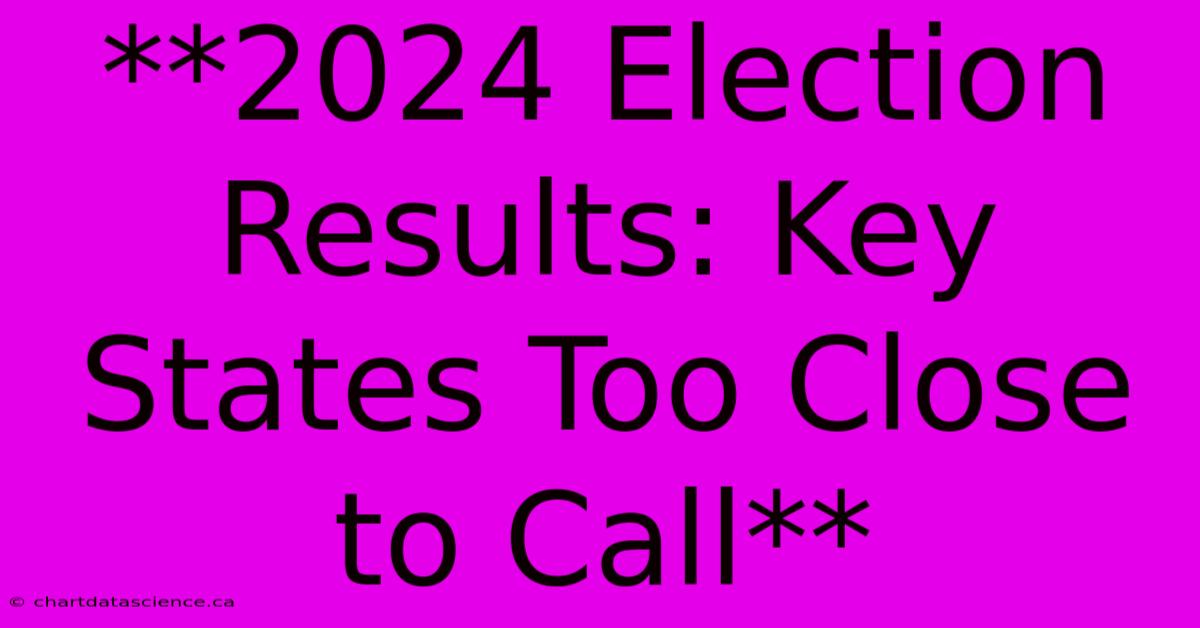 **2024 Election Results: Key States Too Close To Call**