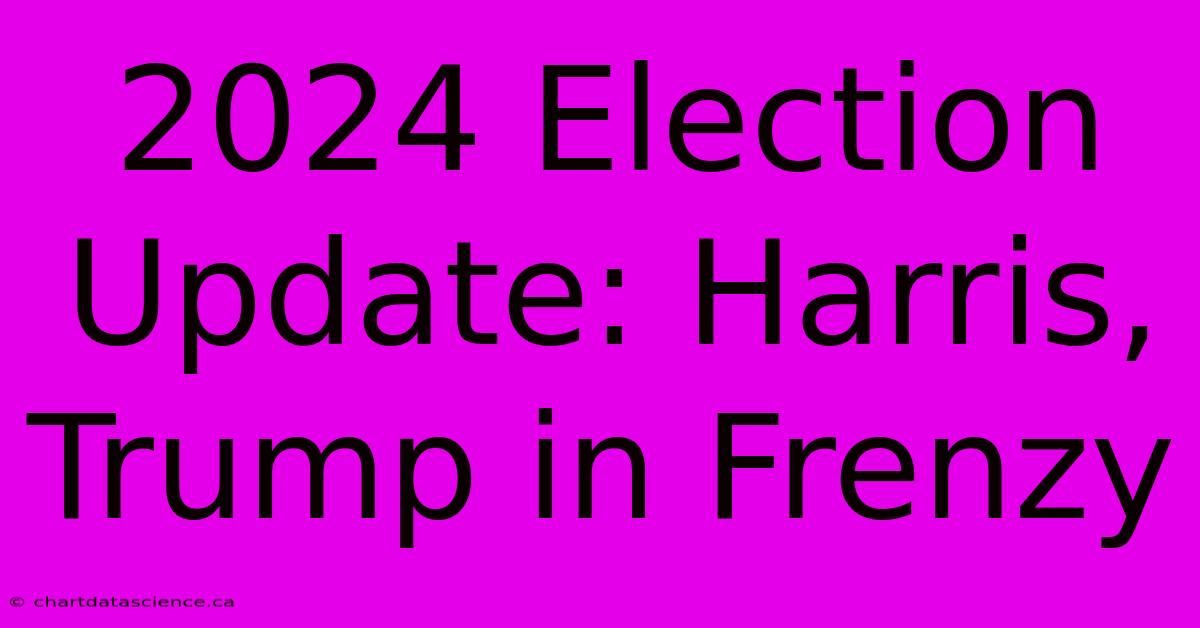 2024 Election Update: Harris, Trump In Frenzy