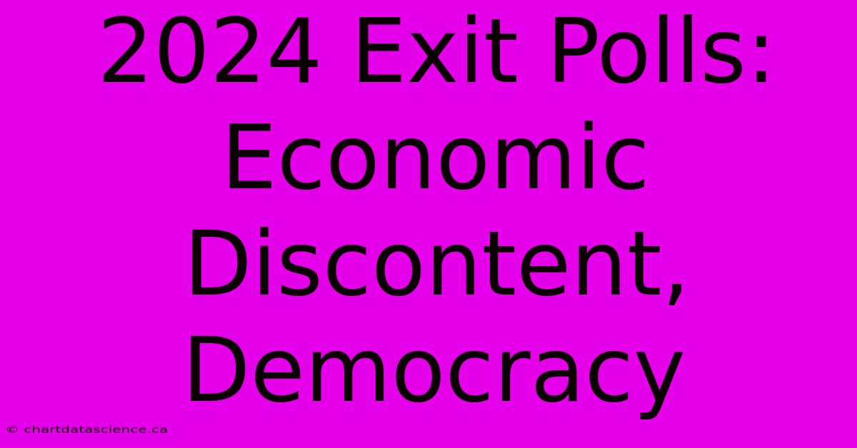 2024 Exit Polls: Economic Discontent, Democracy 