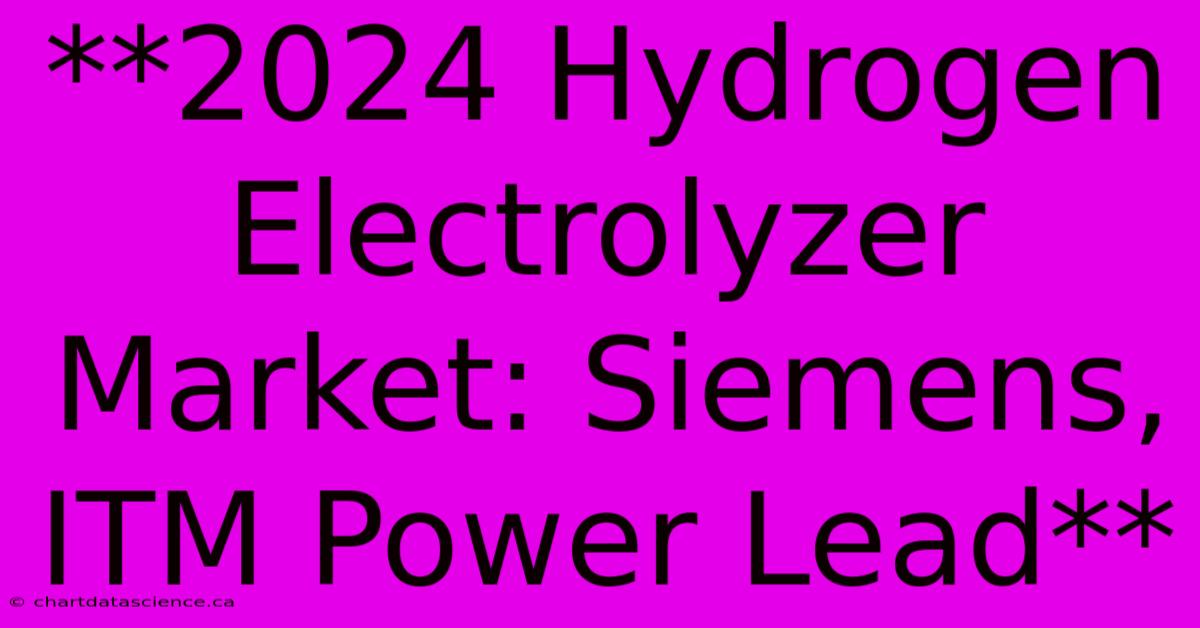 **2024 Hydrogen Electrolyzer Market: Siemens, ITM Power Lead** 