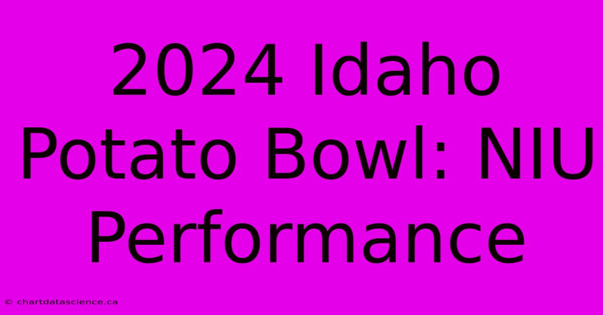 2024 Idaho Potato Bowl: NIU Performance