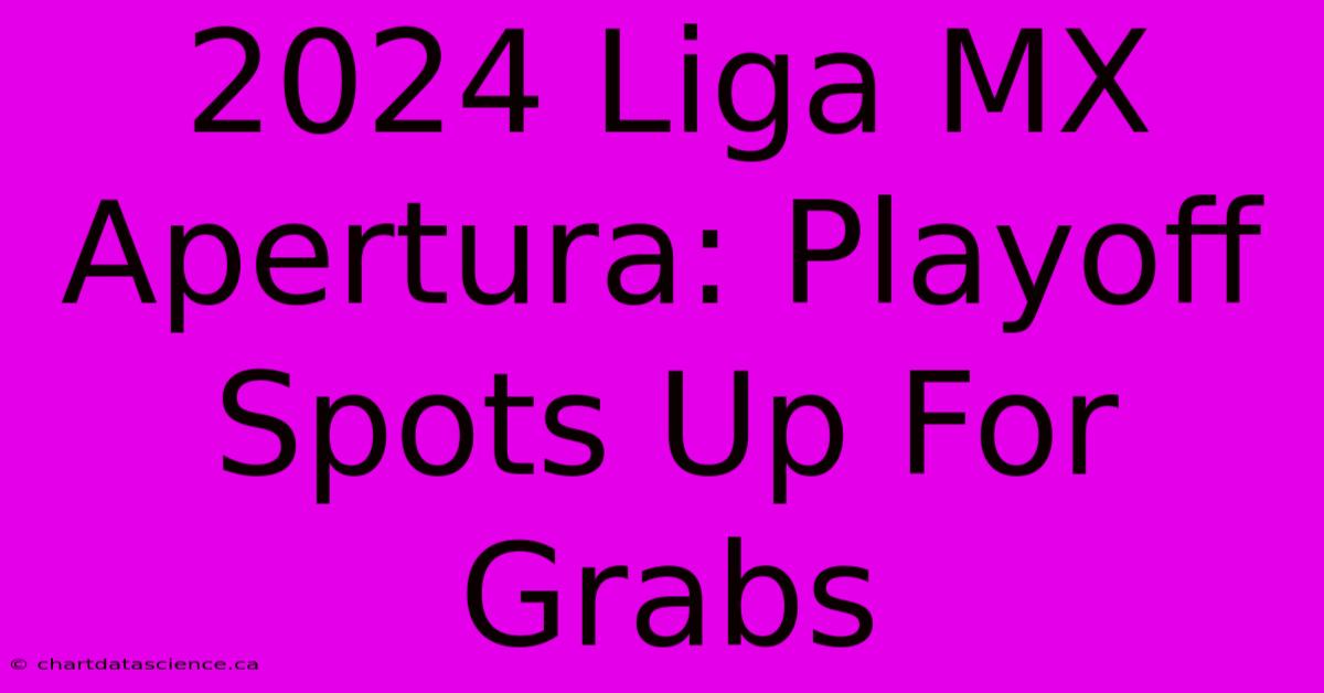 2024 Liga MX Apertura: Playoff Spots Up For Grabs