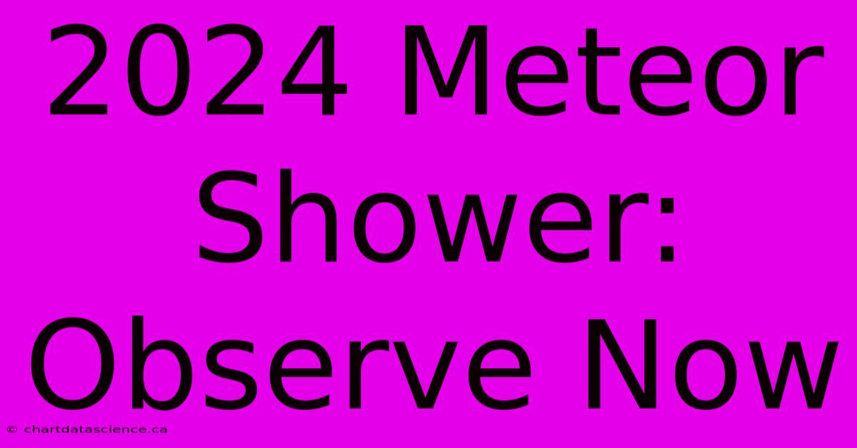 2024 Meteor Shower: Observe Now