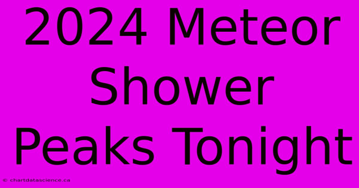 2024 Meteor Shower Peaks Tonight