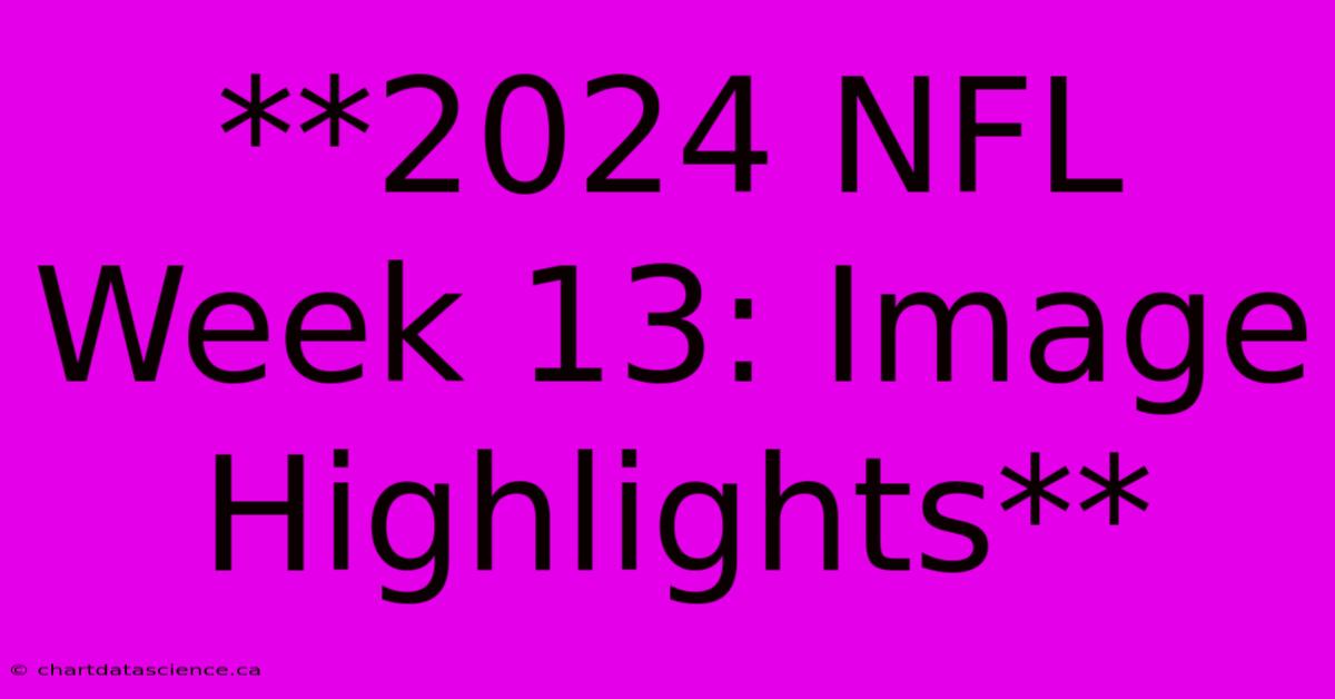 **2024 NFL Week 13: Image Highlights**