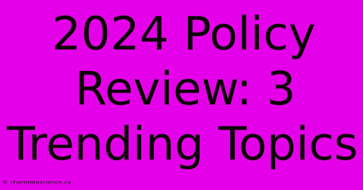 2024 Policy Review: 3 Trending Topics