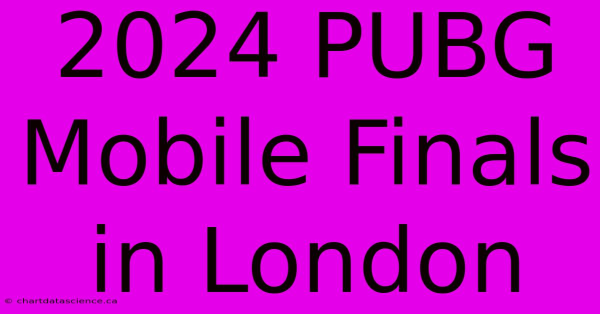 2024 PUBG Mobile Finals In London