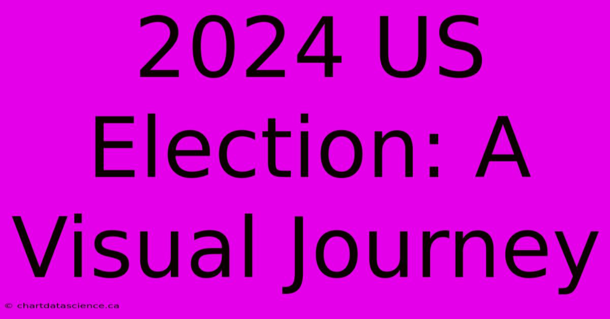 2024 US Election: A Visual Journey