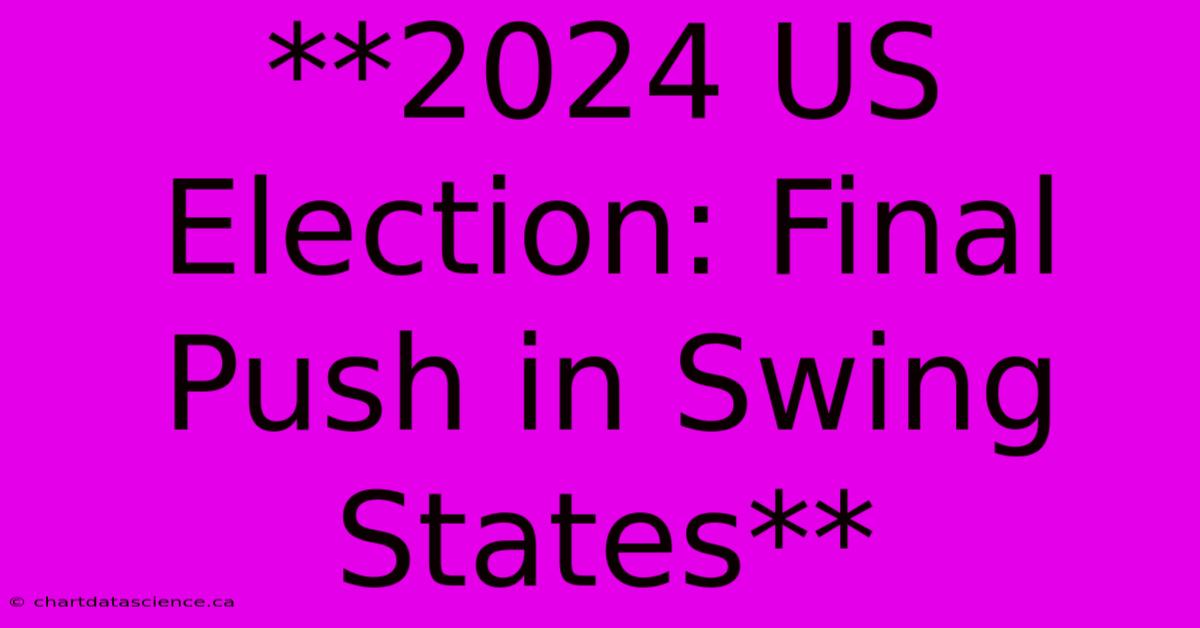 **2024 US Election: Final Push In Swing States**