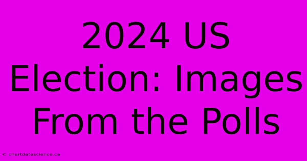 2024 US Election: Images From The Polls 