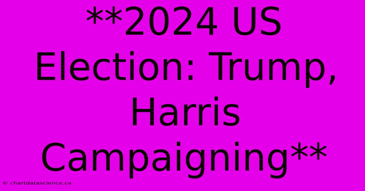 **2024 US Election: Trump, Harris Campaigning**