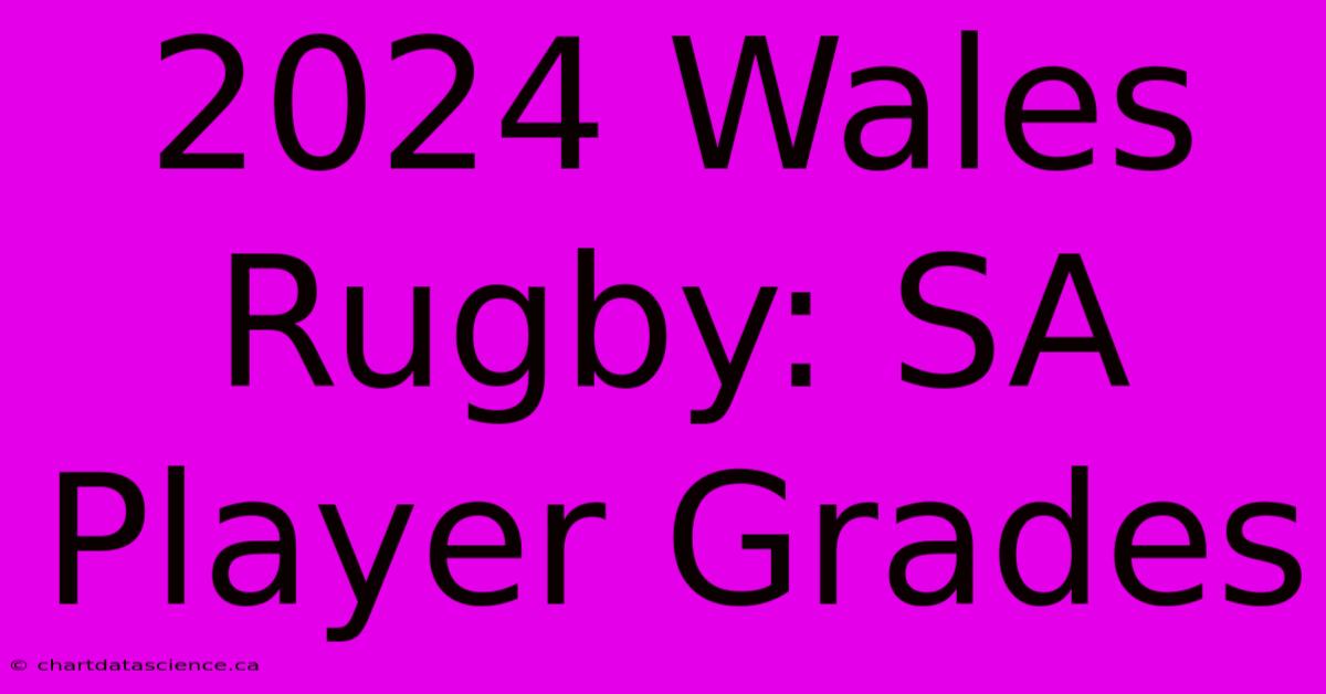 2024 Wales Rugby: SA Player Grades