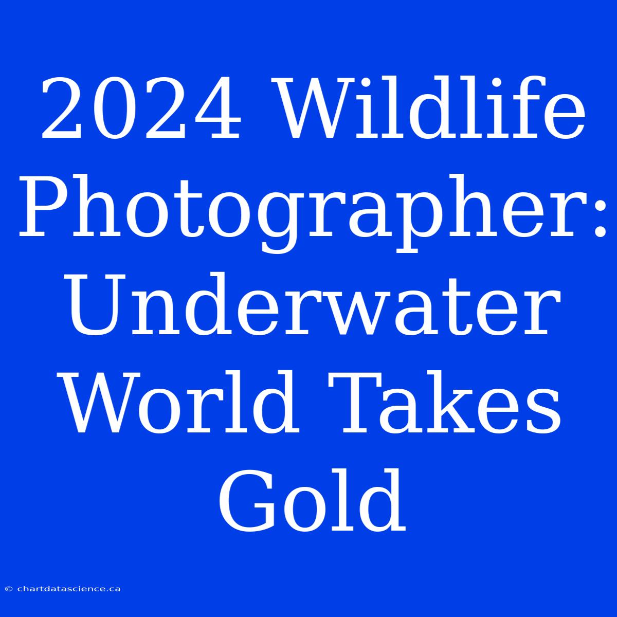 2024 Wildlife Photographer: Underwater World Takes Gold