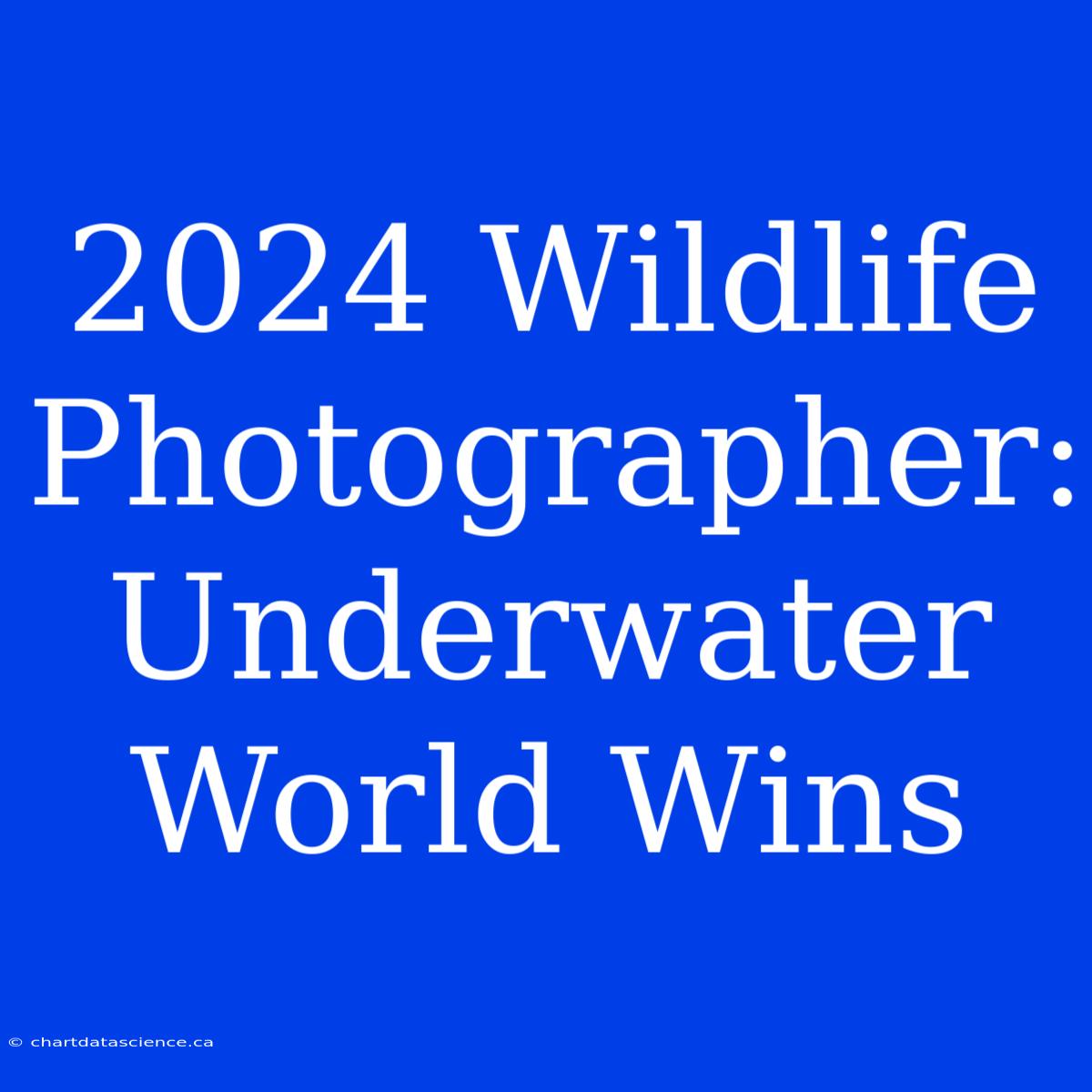 2024 Wildlife Photographer: Underwater World Wins