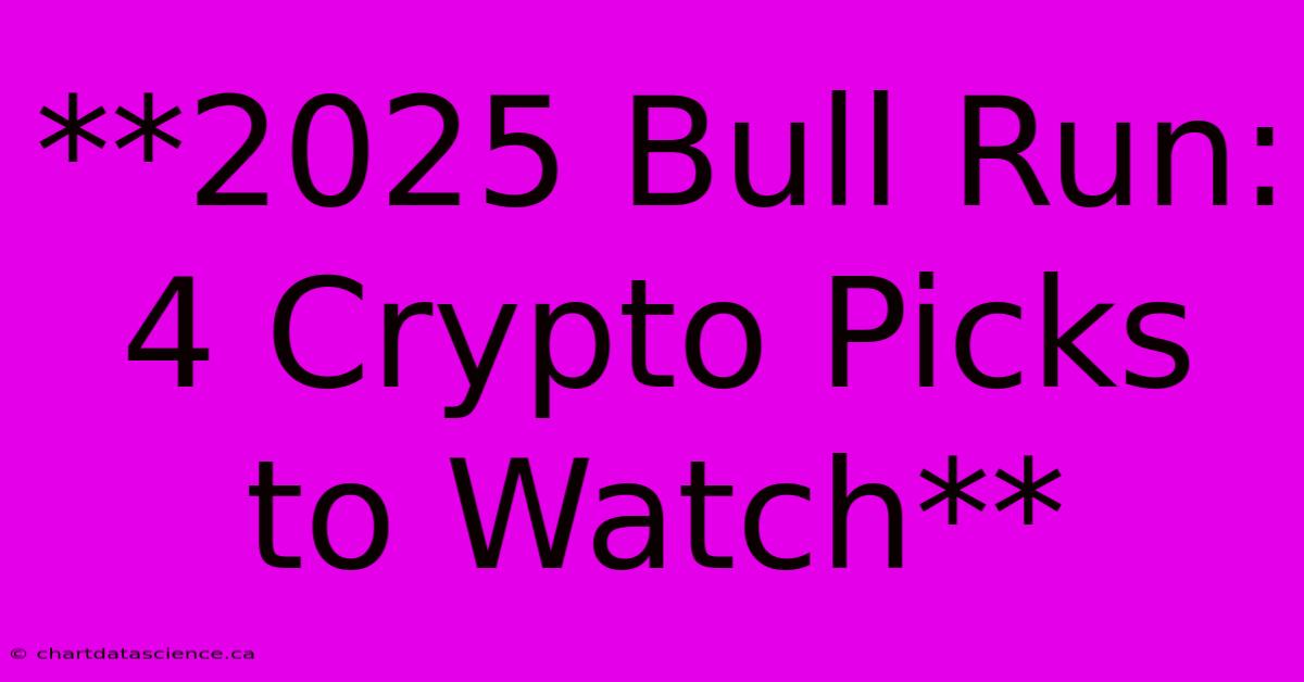 **2025 Bull Run: 4 Crypto Picks To Watch**