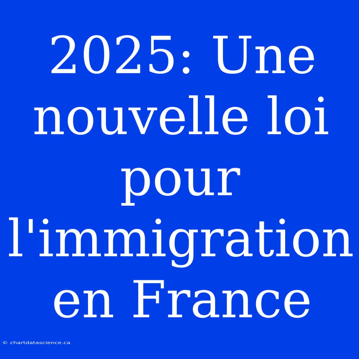 2025: Une Nouvelle Loi Pour L'immigration En France