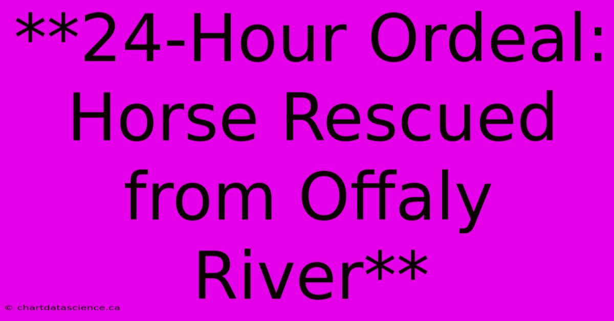 **24-Hour Ordeal: Horse Rescued From Offaly River**