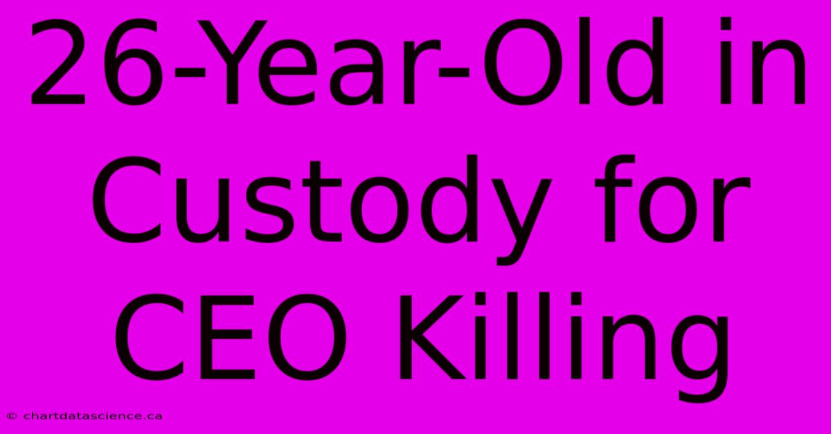 26-Year-Old In Custody For CEO Killing