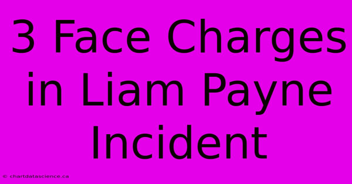 3 Face Charges In Liam Payne Incident