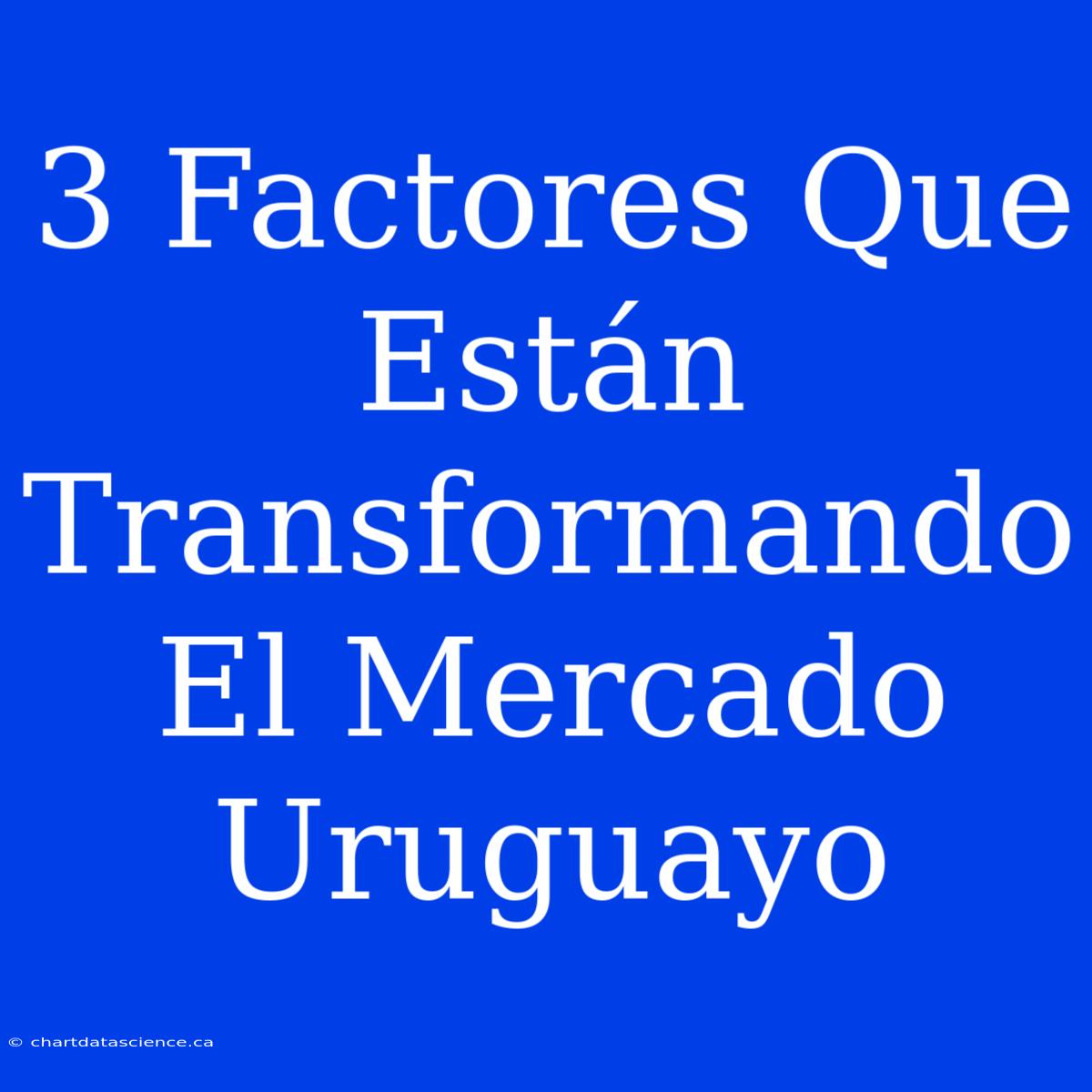 3 Factores Que Están Transformando El Mercado Uruguayo