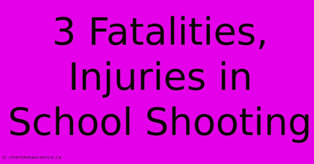 3 Fatalities, Injuries In School Shooting