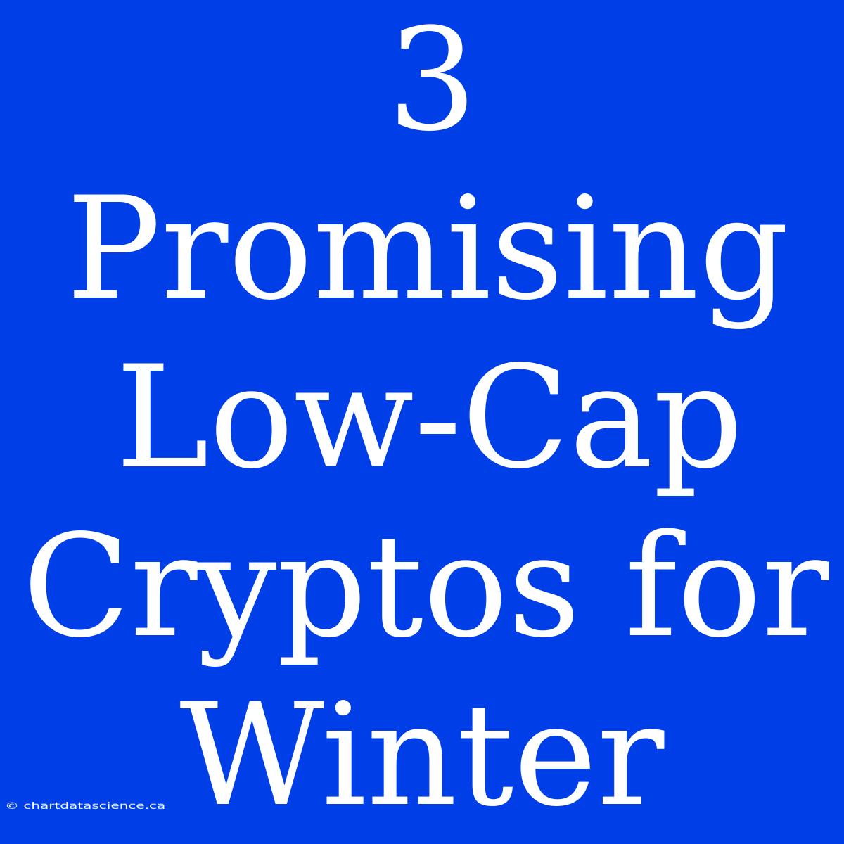 3 Promising Low-Cap Cryptos For Winter