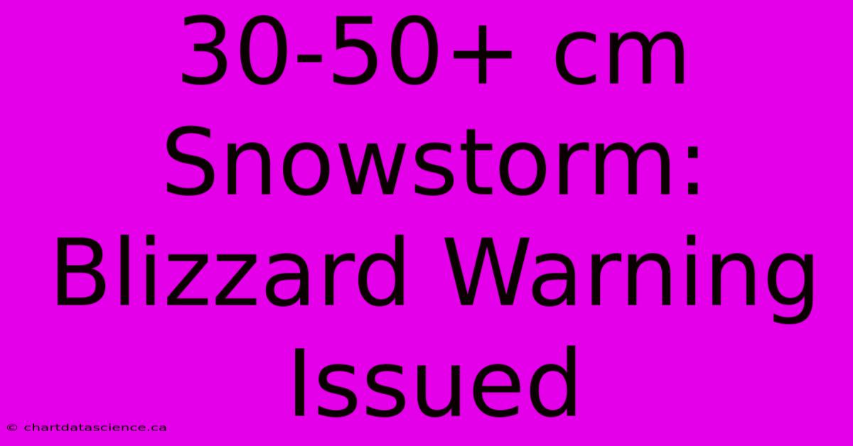 30-50+ Cm Snowstorm: Blizzard Warning Issued