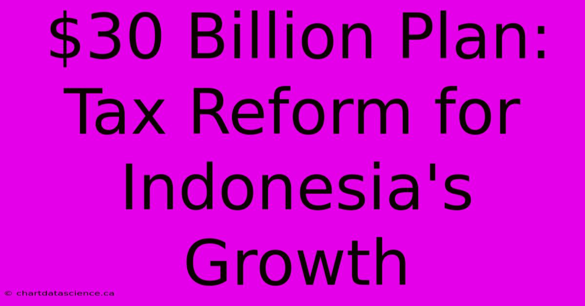 $30 Billion Plan: Tax Reform For Indonesia's Growth