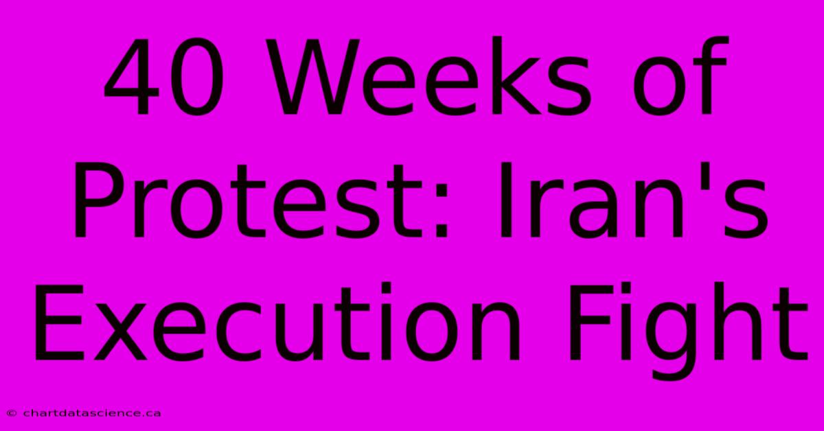 40 Weeks Of Protest: Iran's Execution Fight 