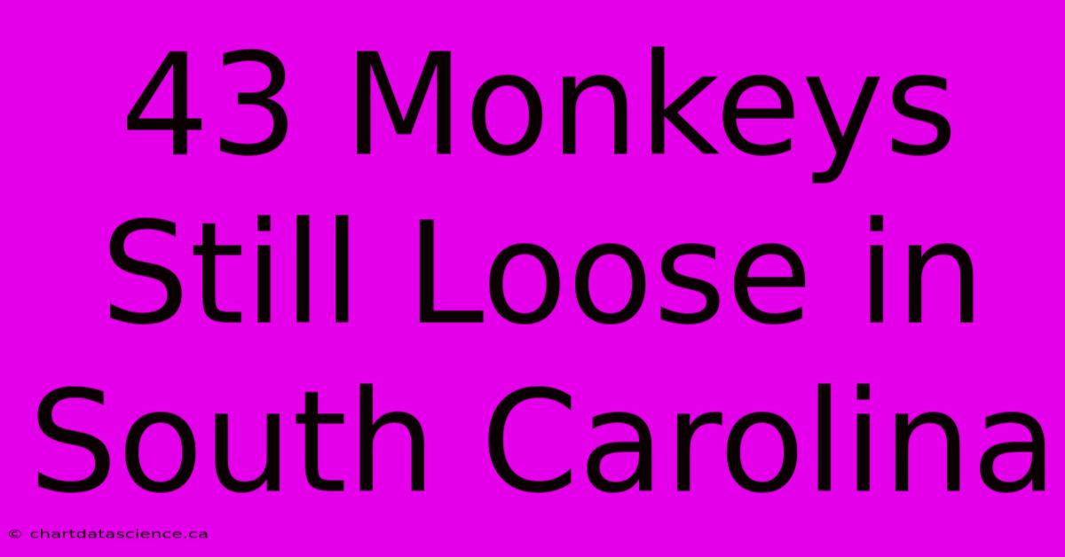 43 Monkeys Still Loose In South Carolina