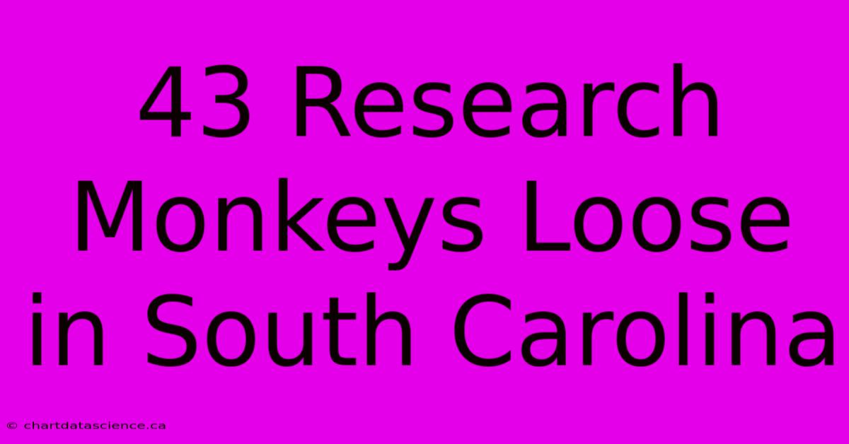 43 Research Monkeys Loose In South Carolina