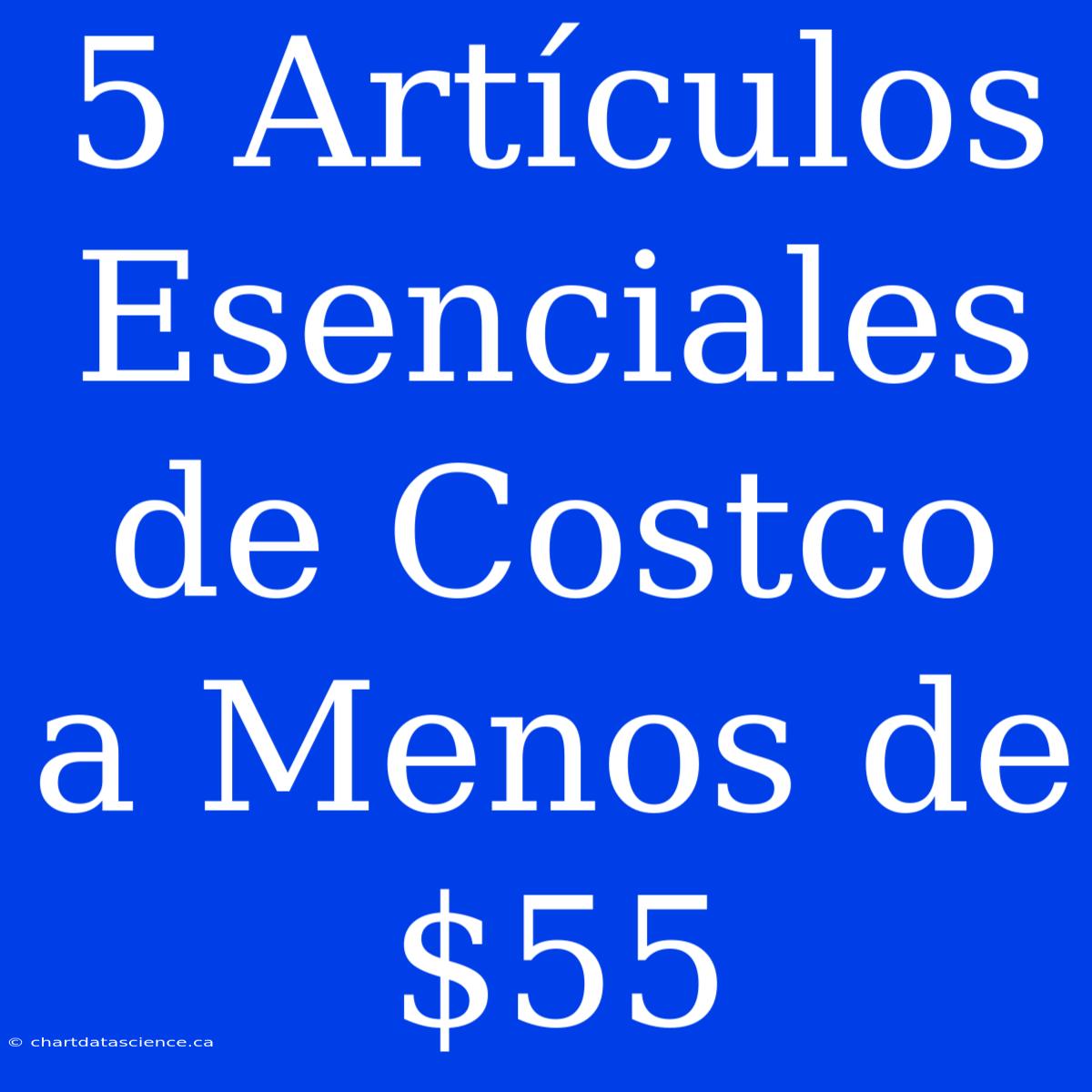 5 Artículos Esenciales De Costco A Menos De $55