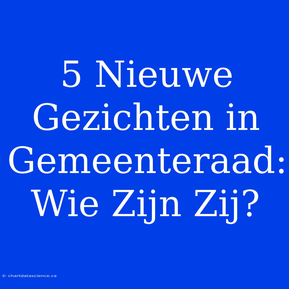 5 Nieuwe Gezichten In Gemeenteraad: Wie Zijn Zij?