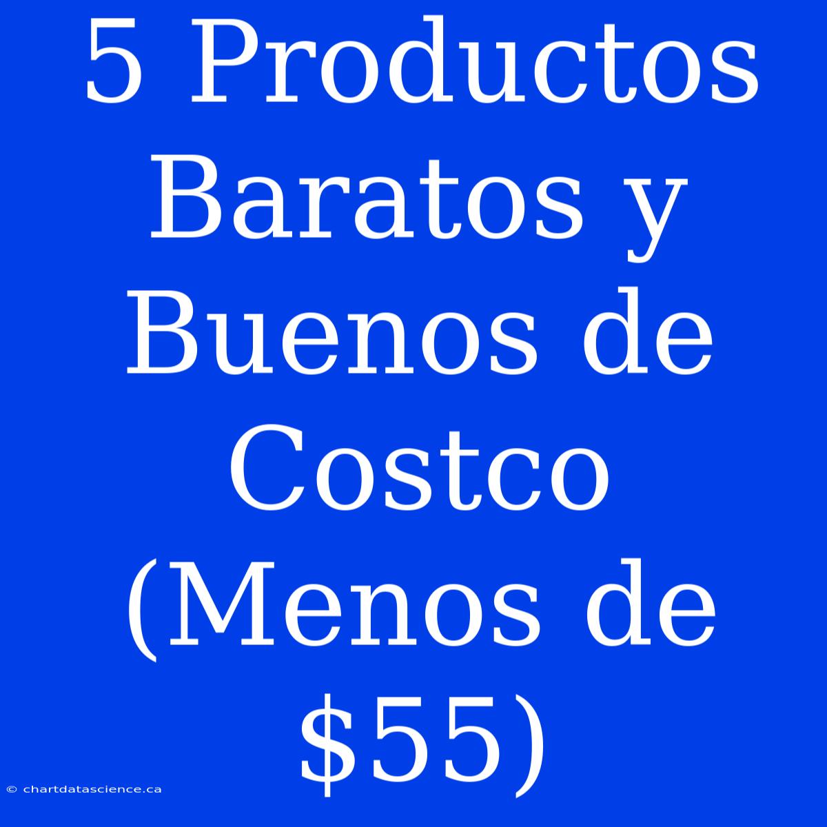 5 Productos Baratos Y Buenos De Costco (Menos De $55)