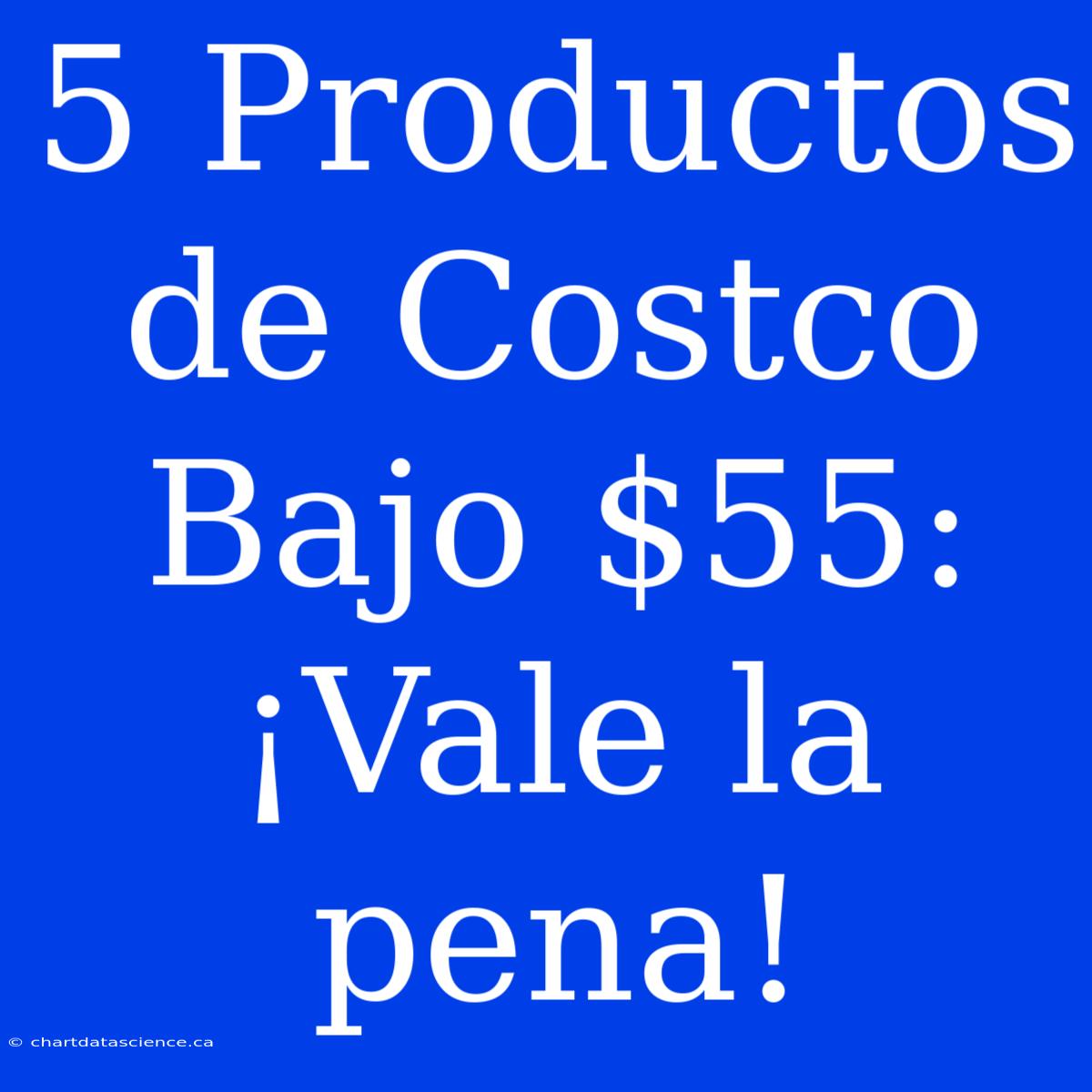 5 Productos De Costco Bajo $55: ¡Vale La Pena!