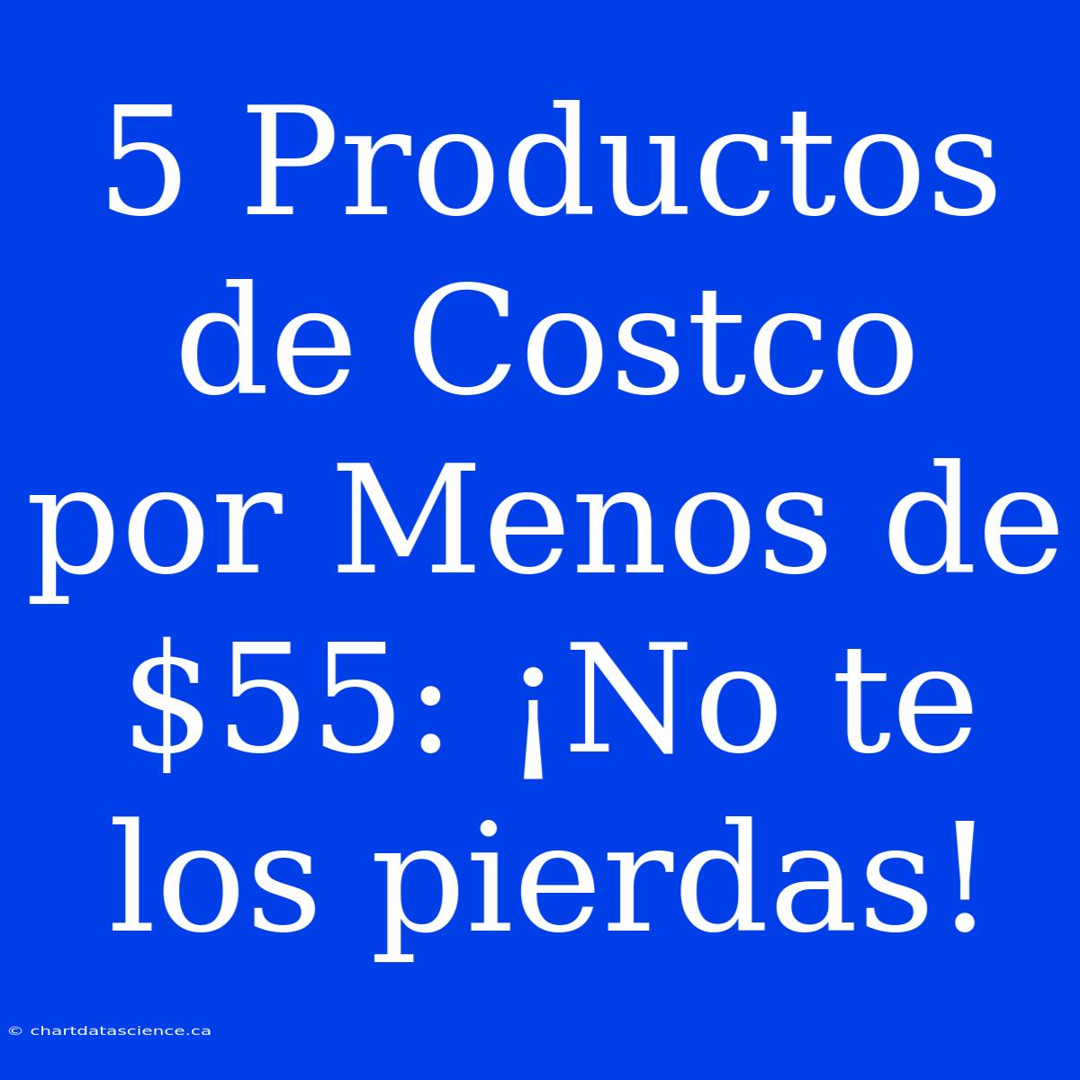 5 Productos De Costco Por Menos De $55: ¡No Te Los Pierdas!