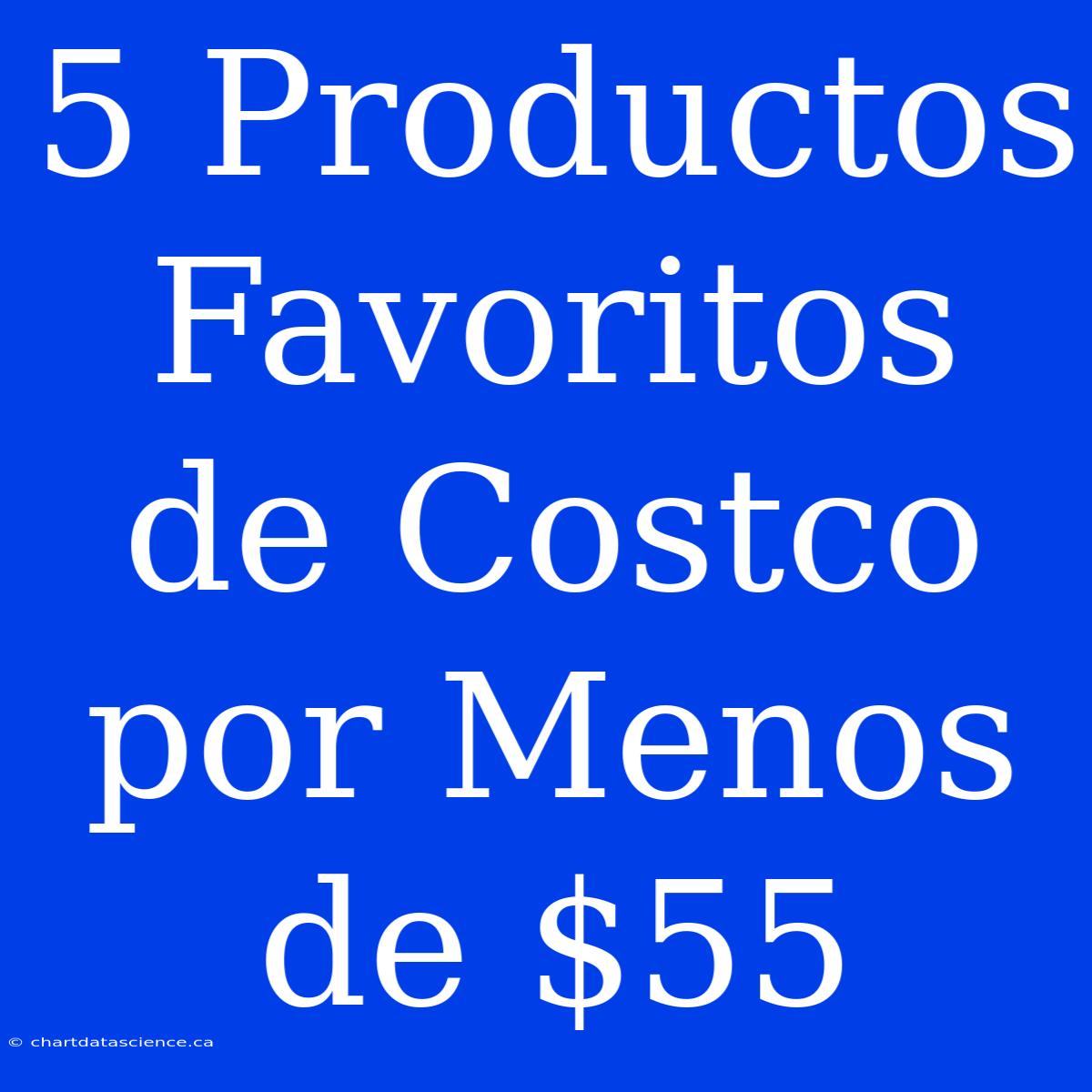 5 Productos Favoritos De Costco Por Menos De $55