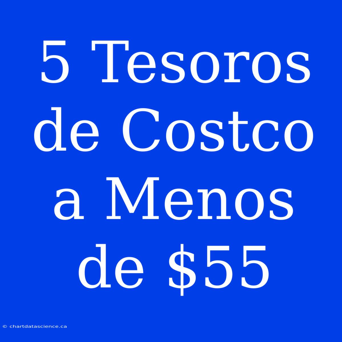 5 Tesoros De Costco A Menos De $55