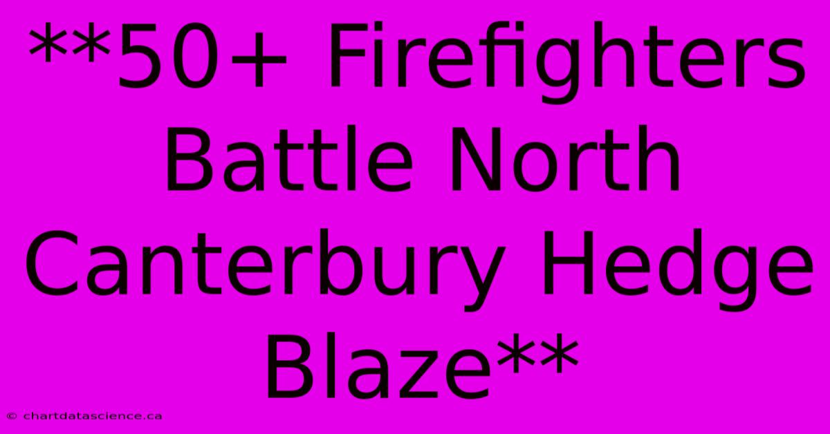 **50+ Firefighters Battle North Canterbury Hedge Blaze** 