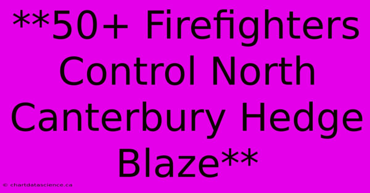 **50+ Firefighters Control North Canterbury Hedge Blaze**