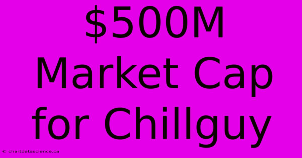 $500M Market Cap For Chillguy