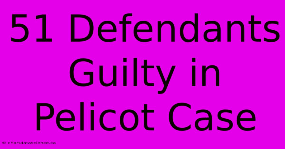 51 Defendants Guilty In Pelicot Case