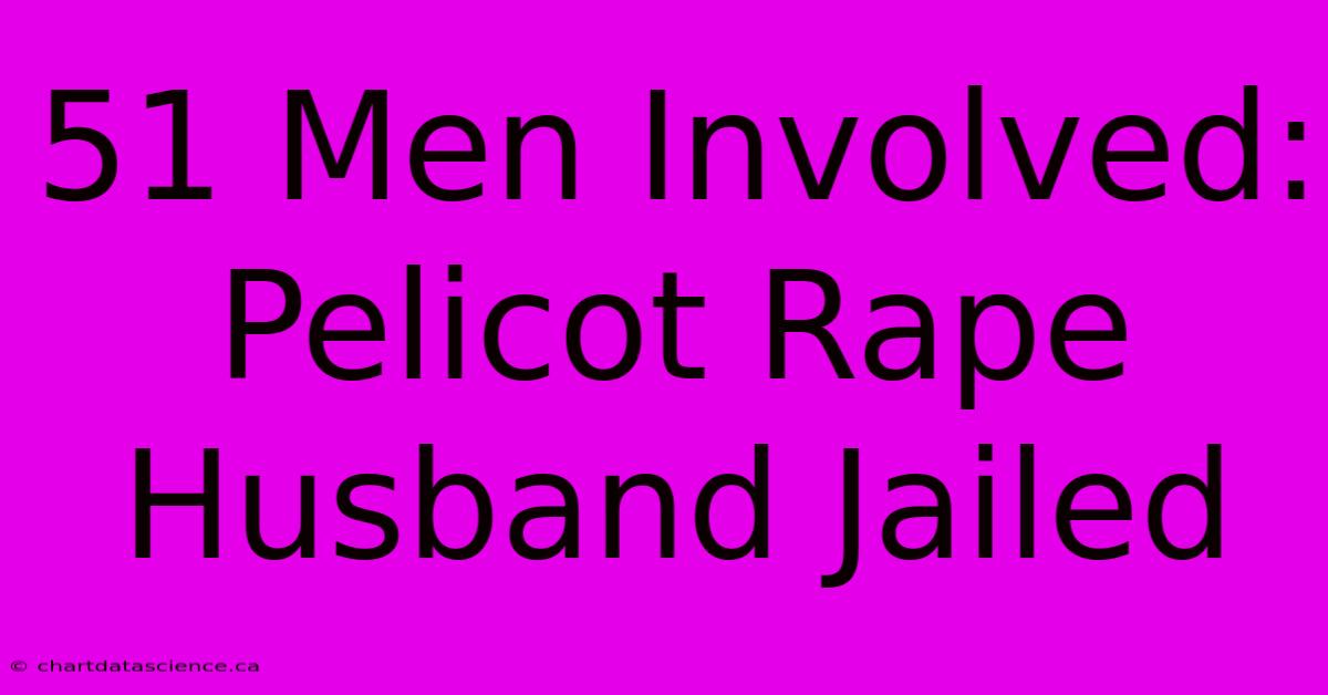 51 Men Involved: Pelicot Rape Husband Jailed