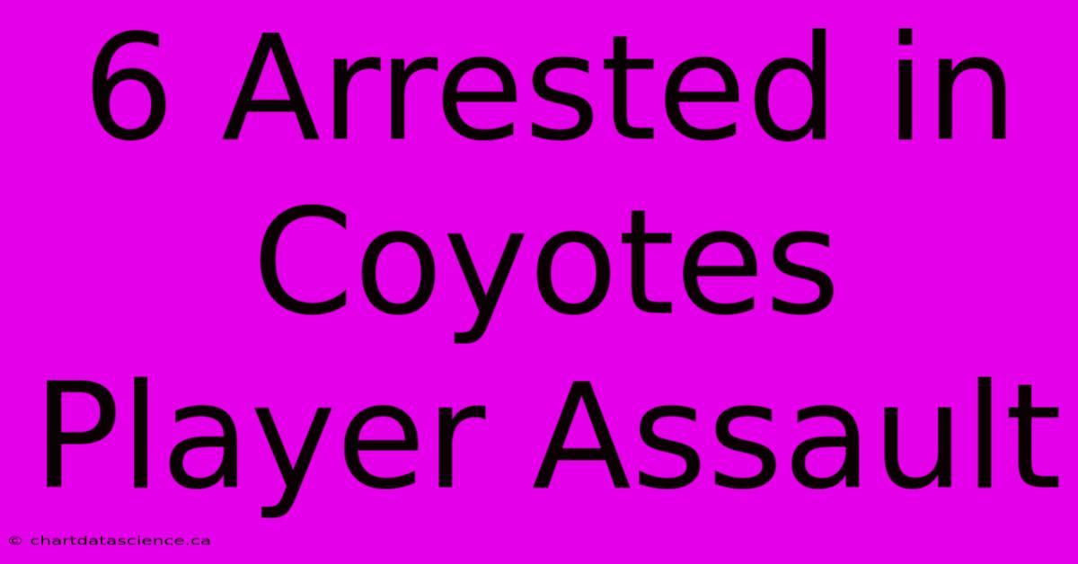 6 Arrested In Coyotes Player Assault