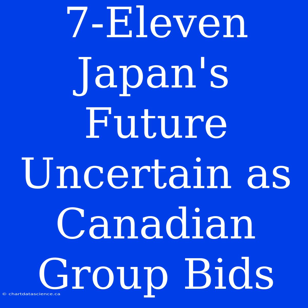 7-Eleven Japan's Future Uncertain As Canadian Group Bids