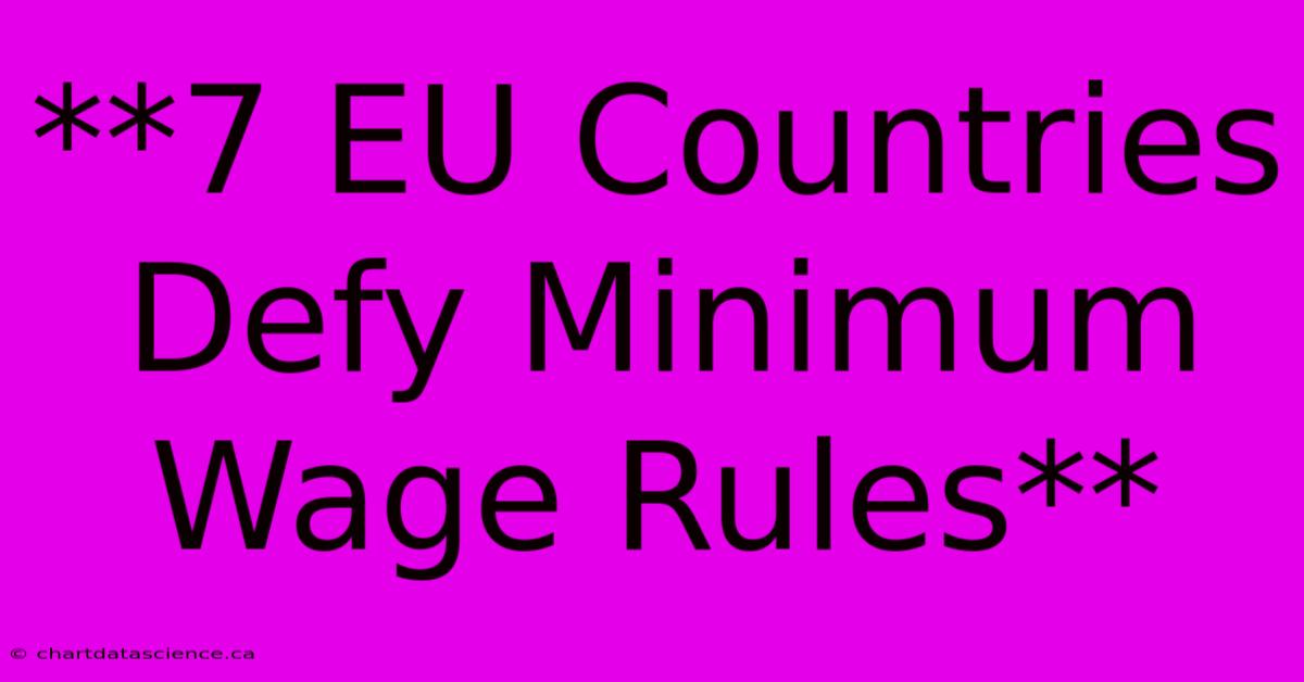 **7 EU Countries Defy Minimum Wage Rules**